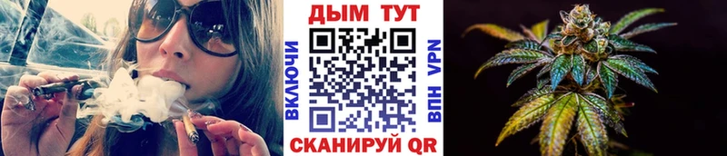 Бошки Шишки план  Кедровый 